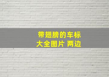 带翅膀的车标大全图片 两边